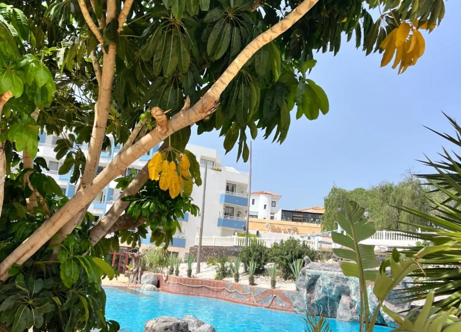 Golf Del Sur Greenpark Apartments With Pool Corbeta 118 San Miguel de Abona